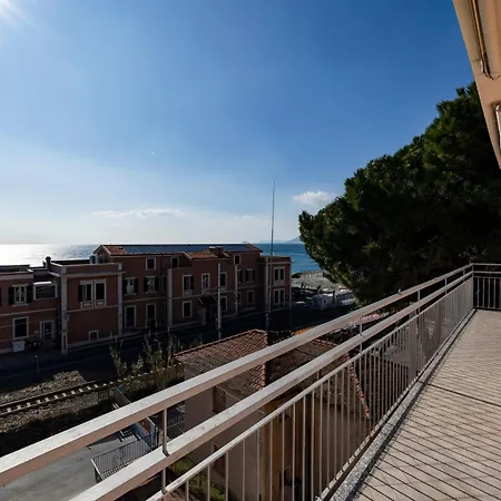 Hostdomus-turtle House